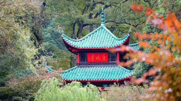 ݿ(Ρku)ٷվ