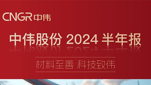  Ƽΰ | һͼݿιɷ2024걨